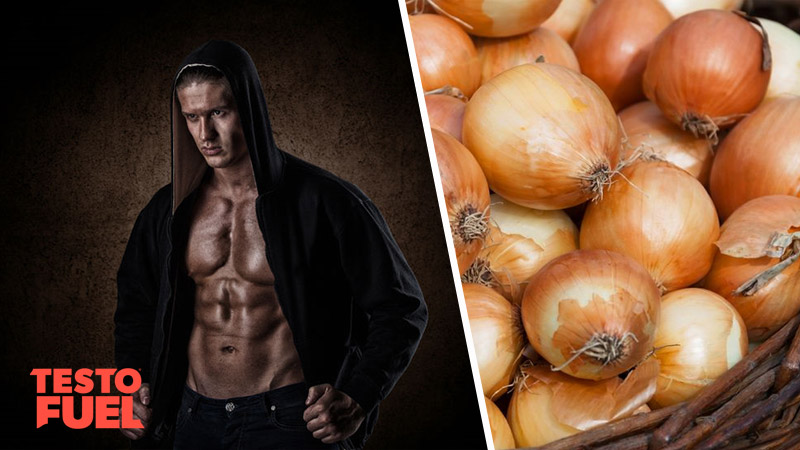 Does Onion Boost Testosterone Levels TestoFuel Blog