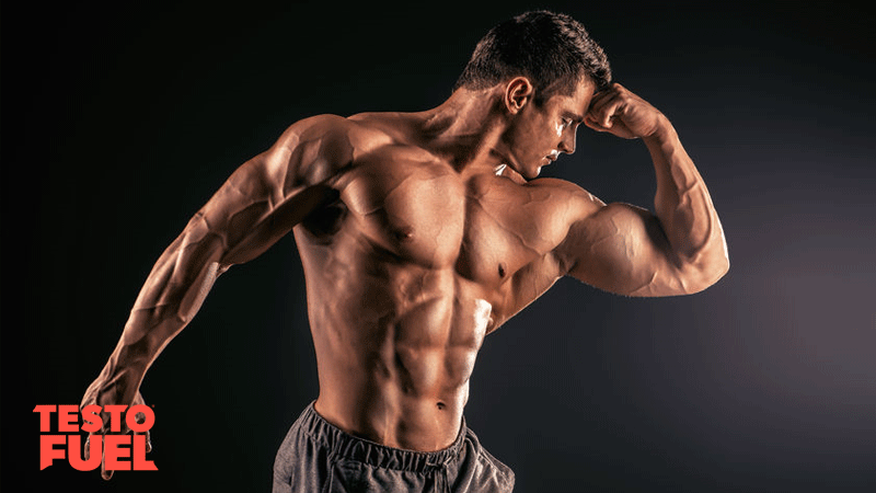 Bodybuilding for a Lifetime: Test Your Dedication